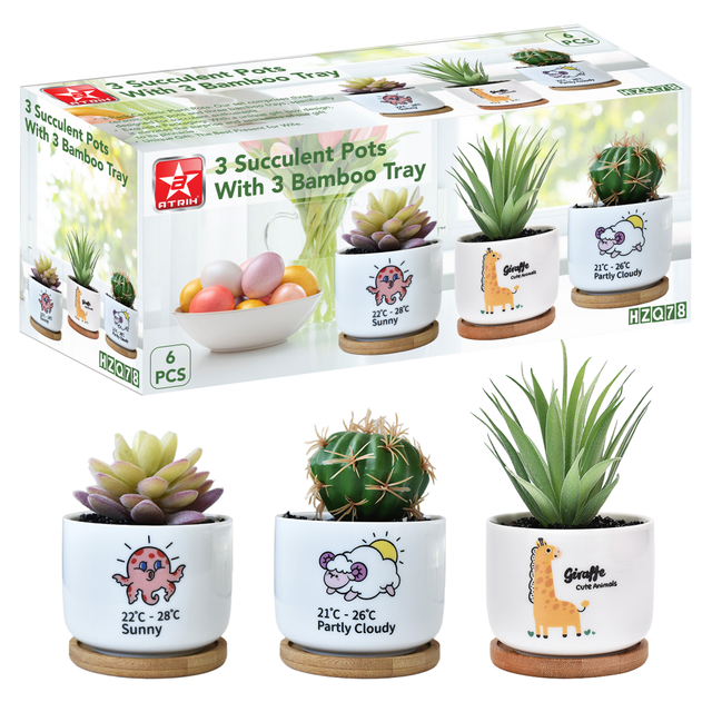 3 Succulent Pots With 3 Bamboo Tray