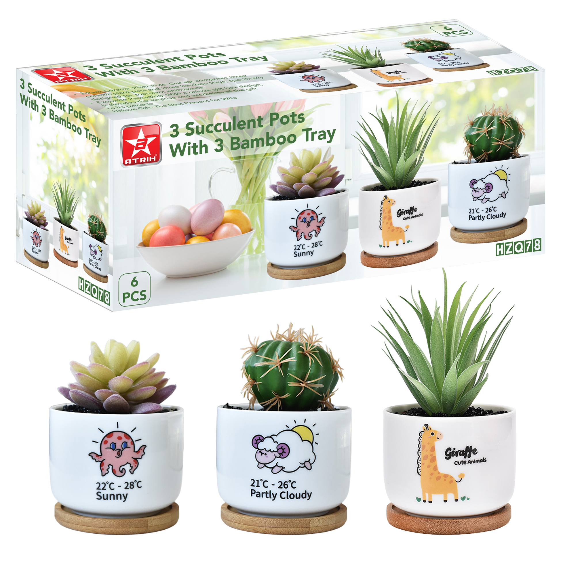 3 Succulent Pots With 3 Bamboo Tray