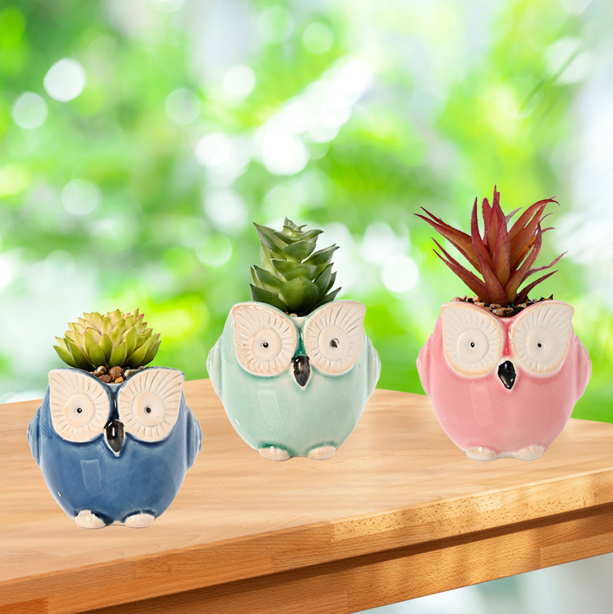 Set of 3 Owl Succulent Pot