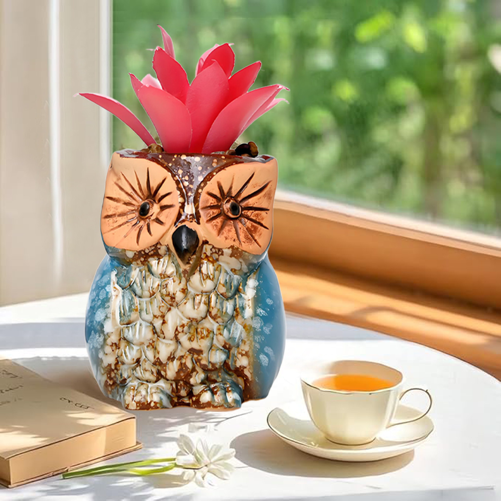 Set of 3 Owl Succulent Pot