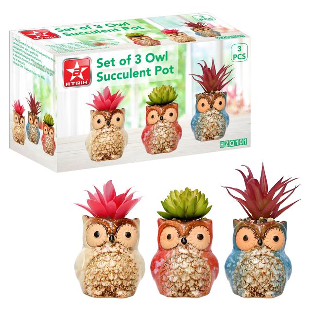 Set of 3 Owl Succulent Pot