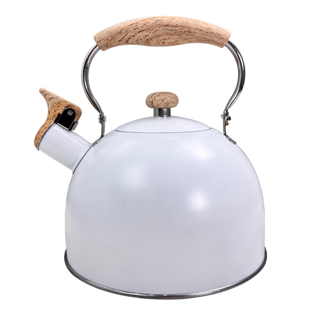 2.5L White Stainless Steel Kettle