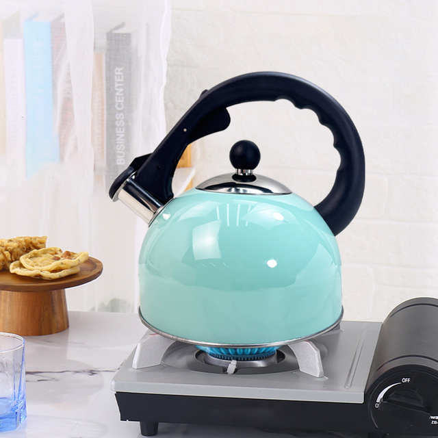 2.5L Turquoise Stainless Steel Kettle
