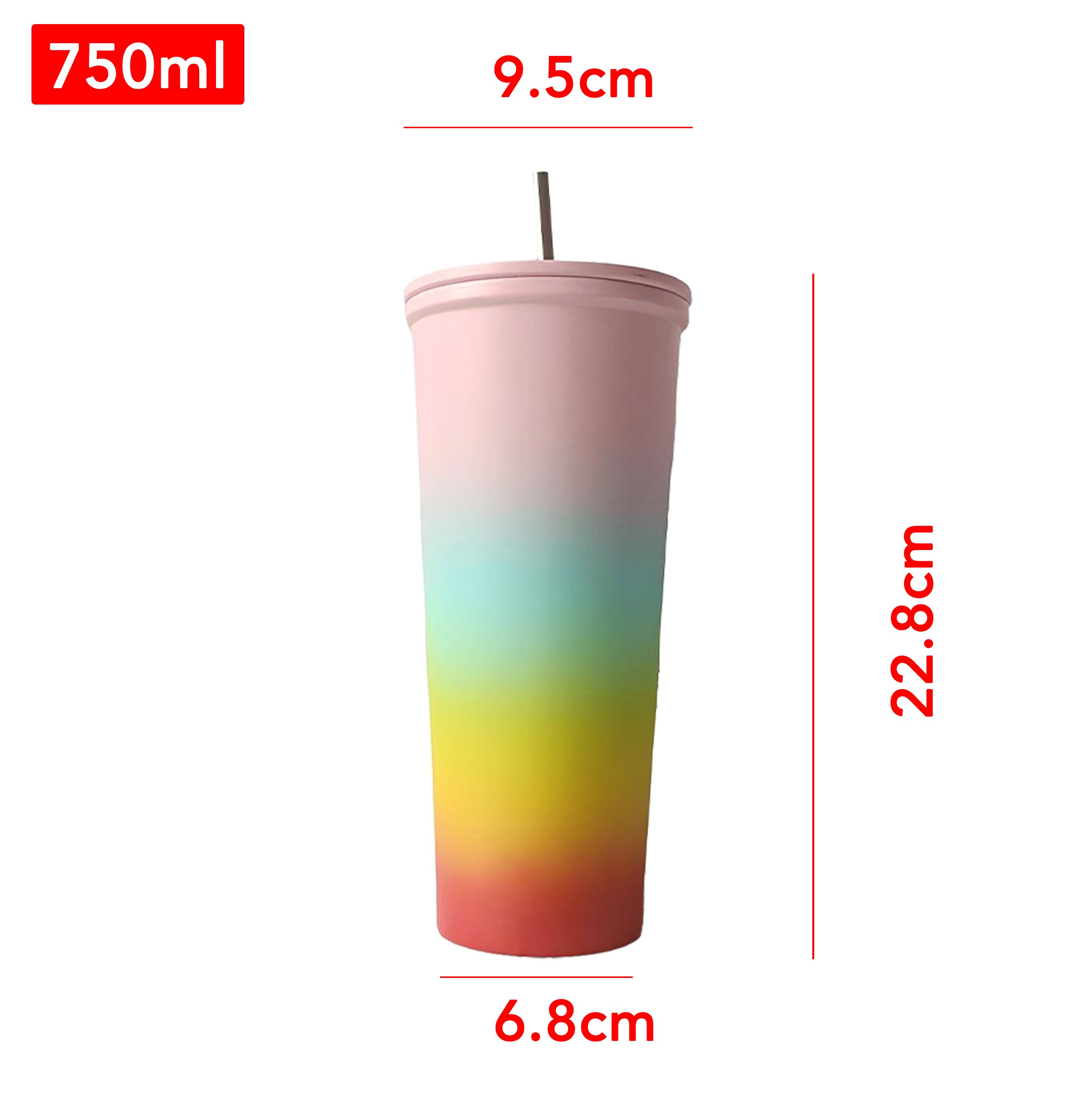 4-Piece Set 750ml Double-Walled Plastic Straw Cup with Gradient Colors