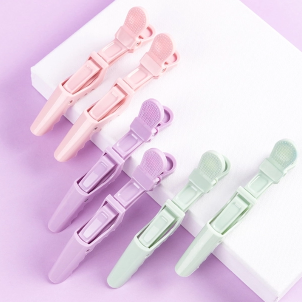 Chic Snap Hair Clip Duo Set