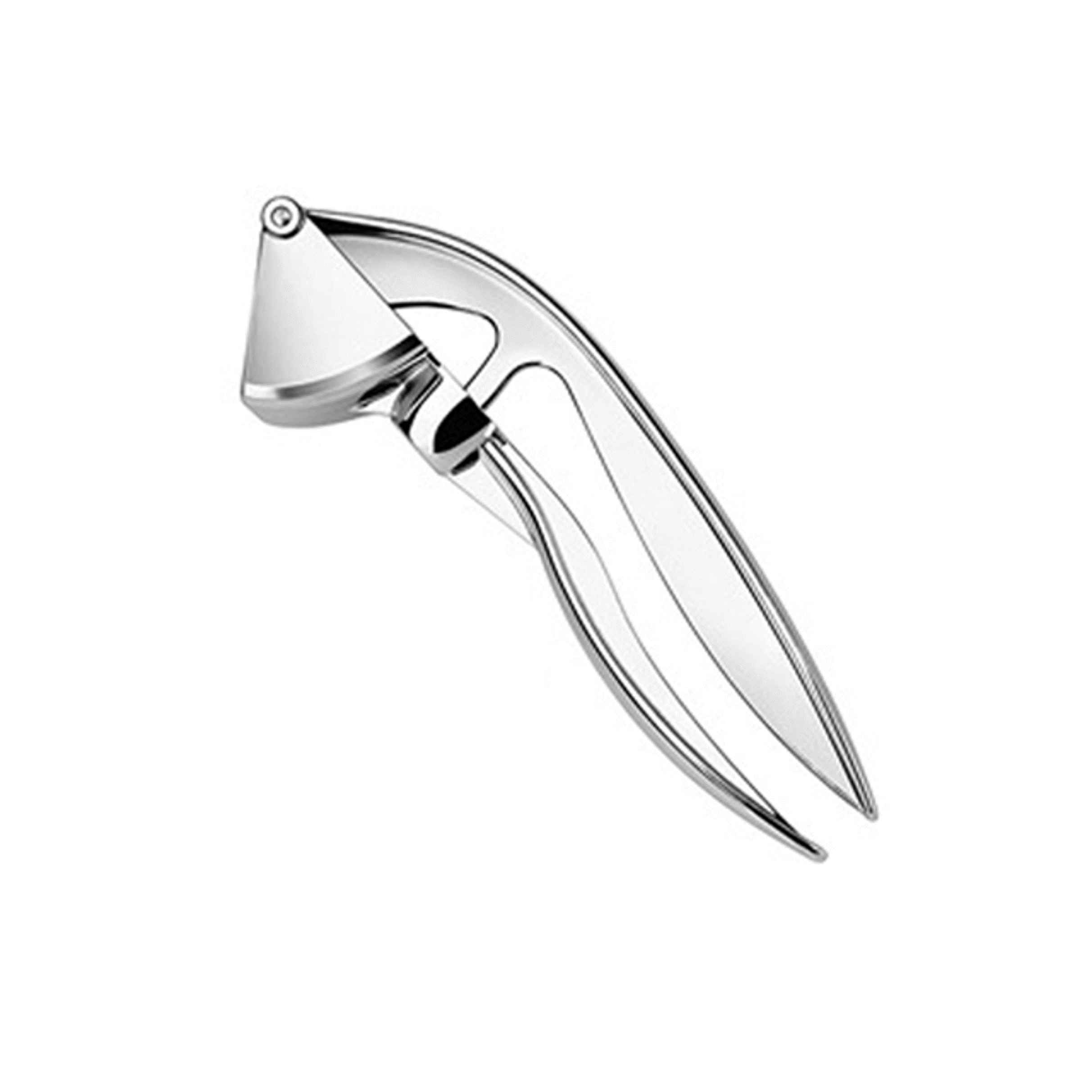 Premium Stainless Steel Garlic Press - Heavy Duty, Rust-Proof, And Dishwasher Safe - Effortlessly Crush Garlic Cloves for Cooking