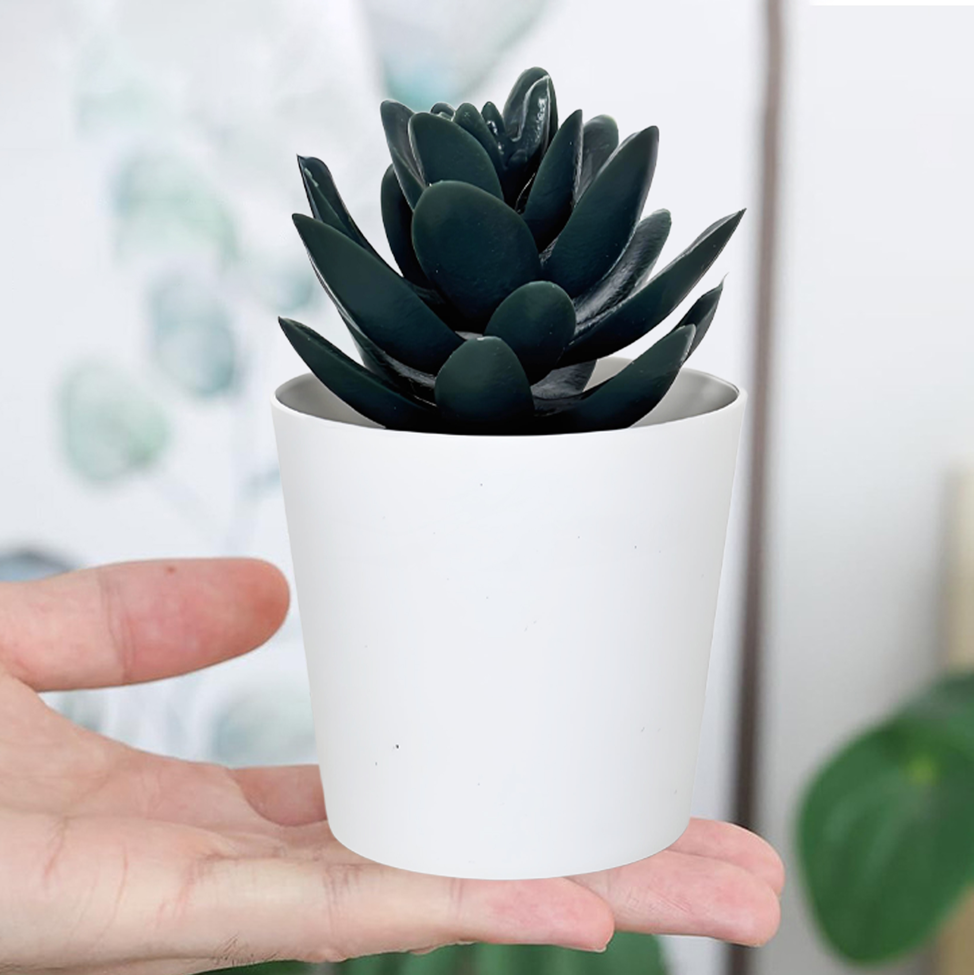 Black Succulent Fake Plant in White Pot