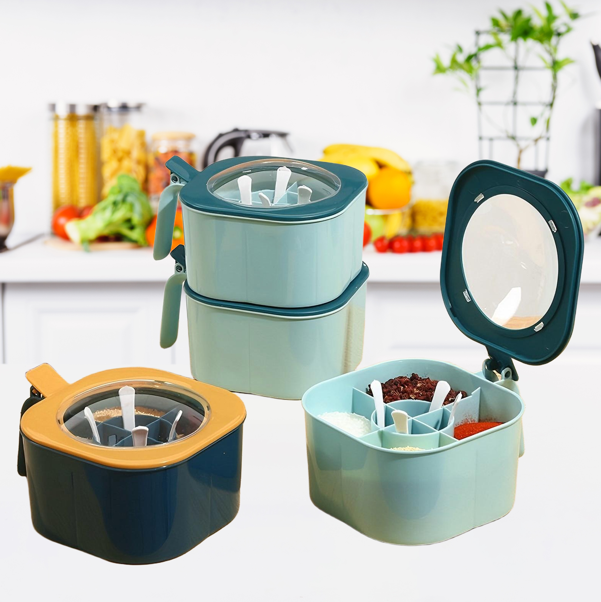 Multi Compartment Plastic Spice Storage Container