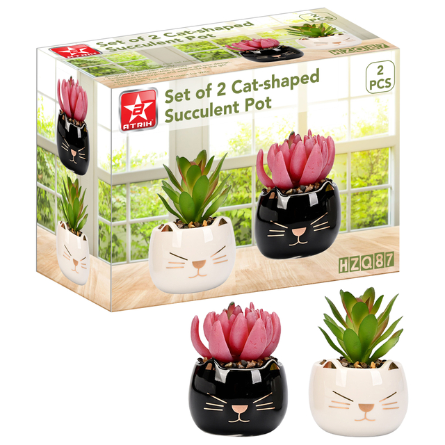 Set of 2 Cat-shaped Succulent Pot