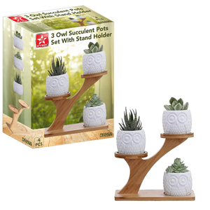 3 Owl Succulent Pots Set With Stand Holder