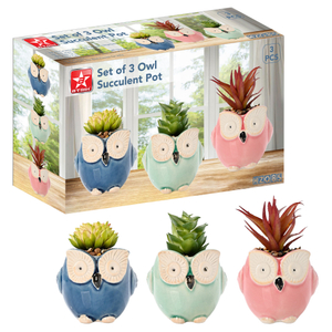 Set of 3 Owl Succulent Pot