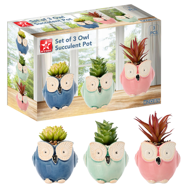Set of 3 Owl Succulent Pot
