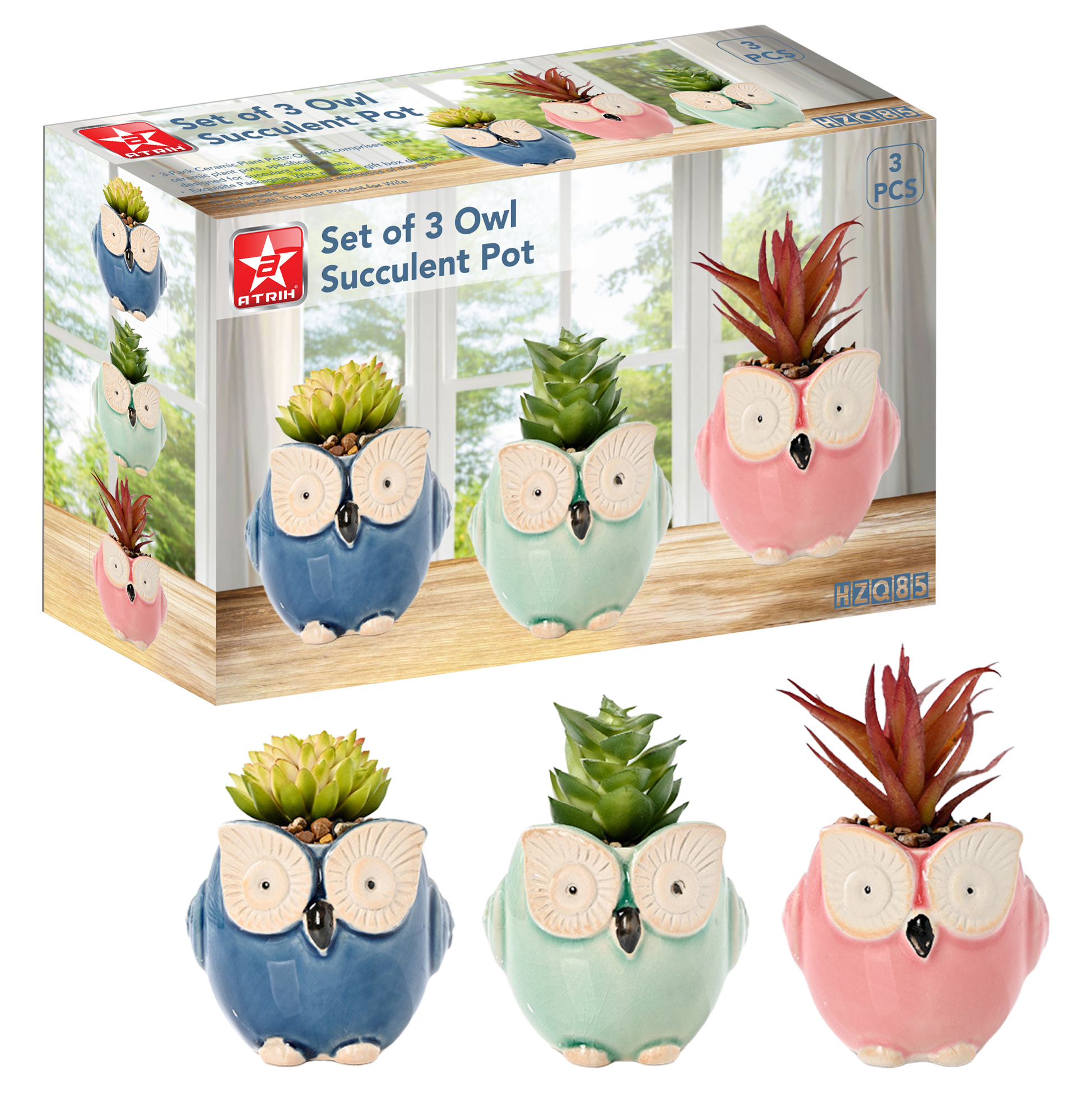 Set of 3 Owl Succulent Pot