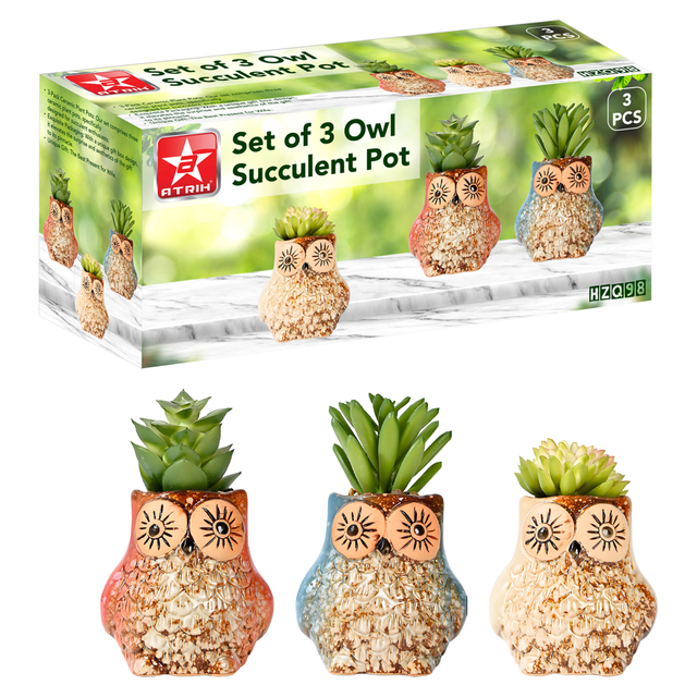 Set of 3 Owl Succulent Pot