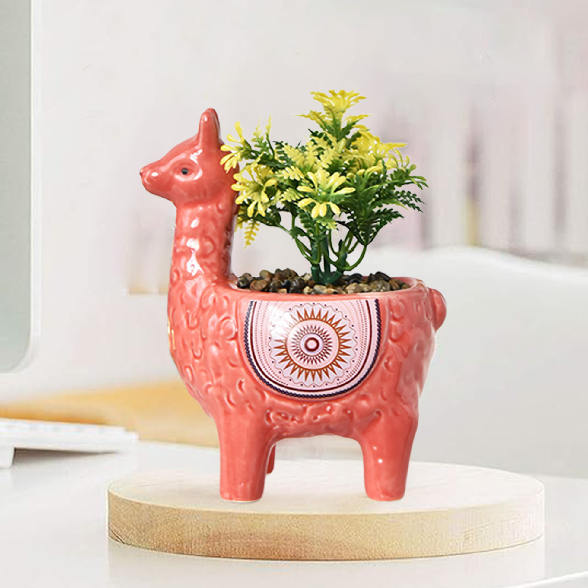 Set of 3 Alpaca Succulent Pot
