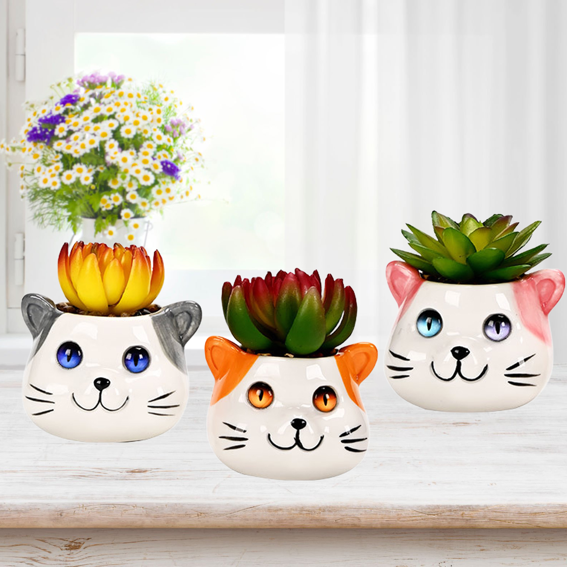 Set of 3 Cat Succulent Pot