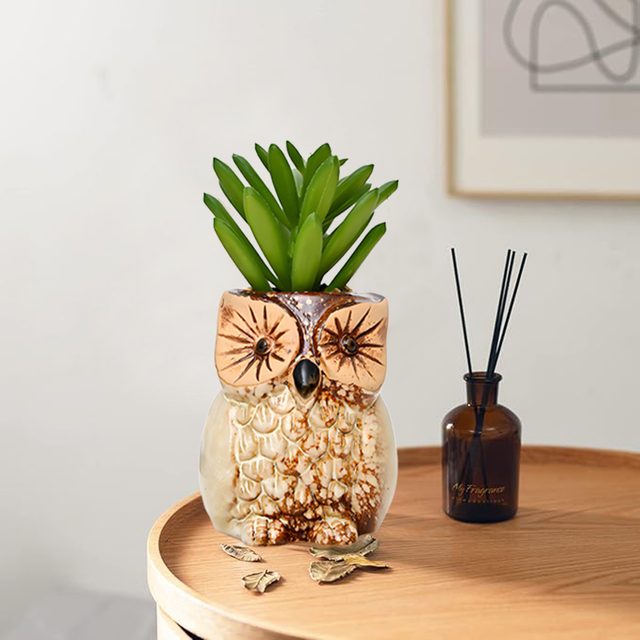 Set of 3 Owl Succulent Pot