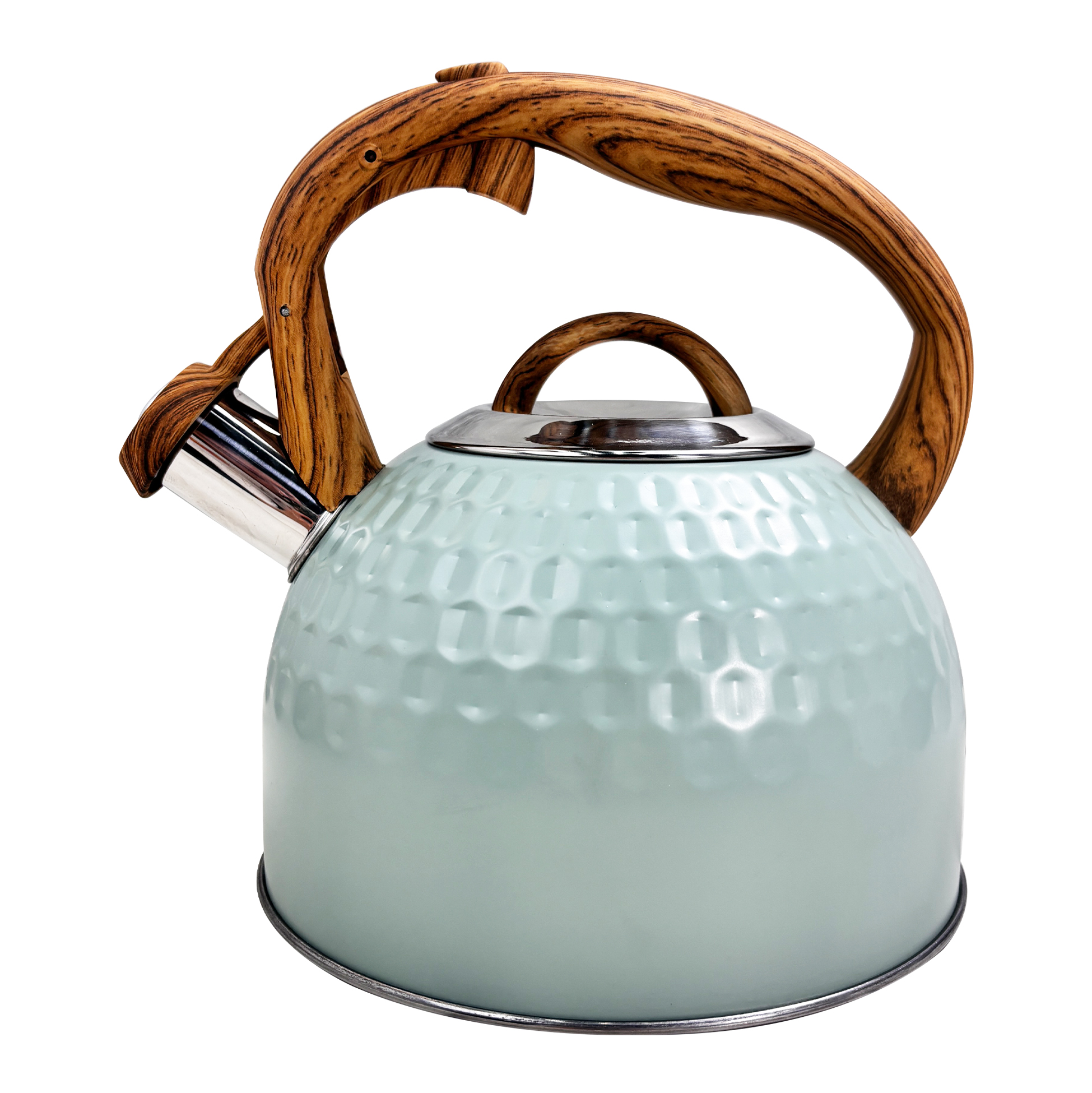 2.5L Mint Green Stainless Steel Kettle