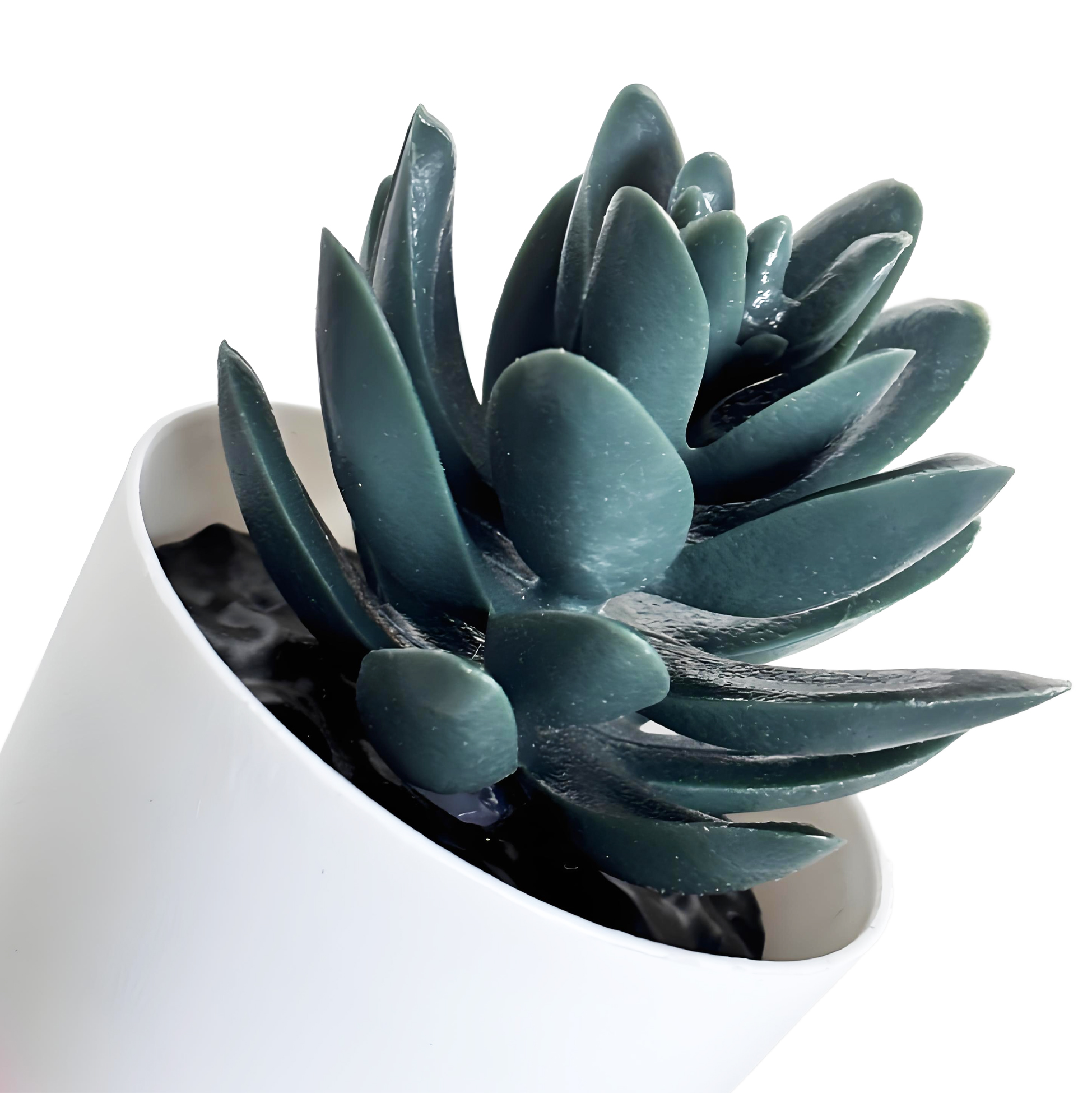 Black Succulent Fake Plant in White Pot