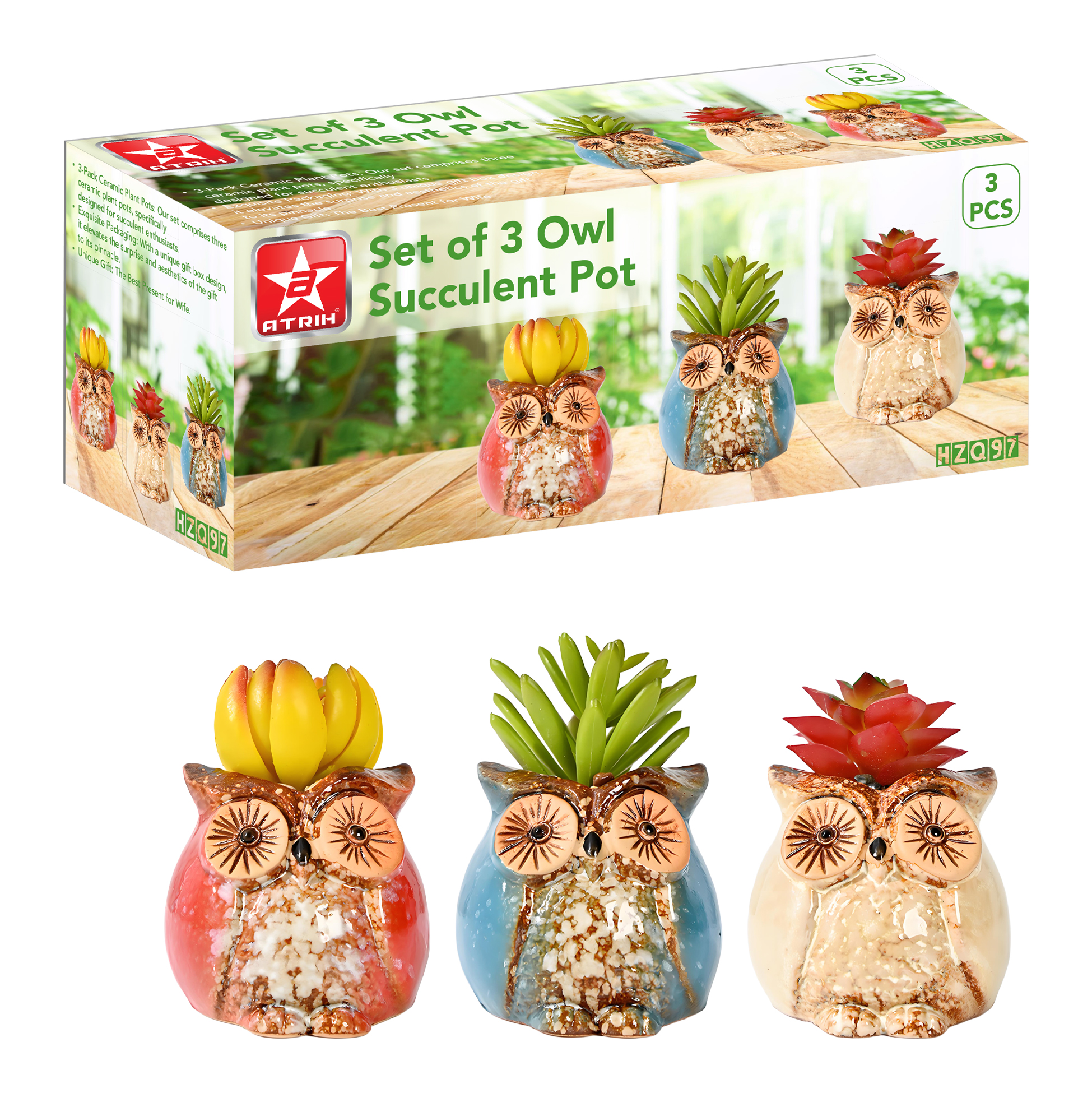 Set of 3 Owl Succulent Pot