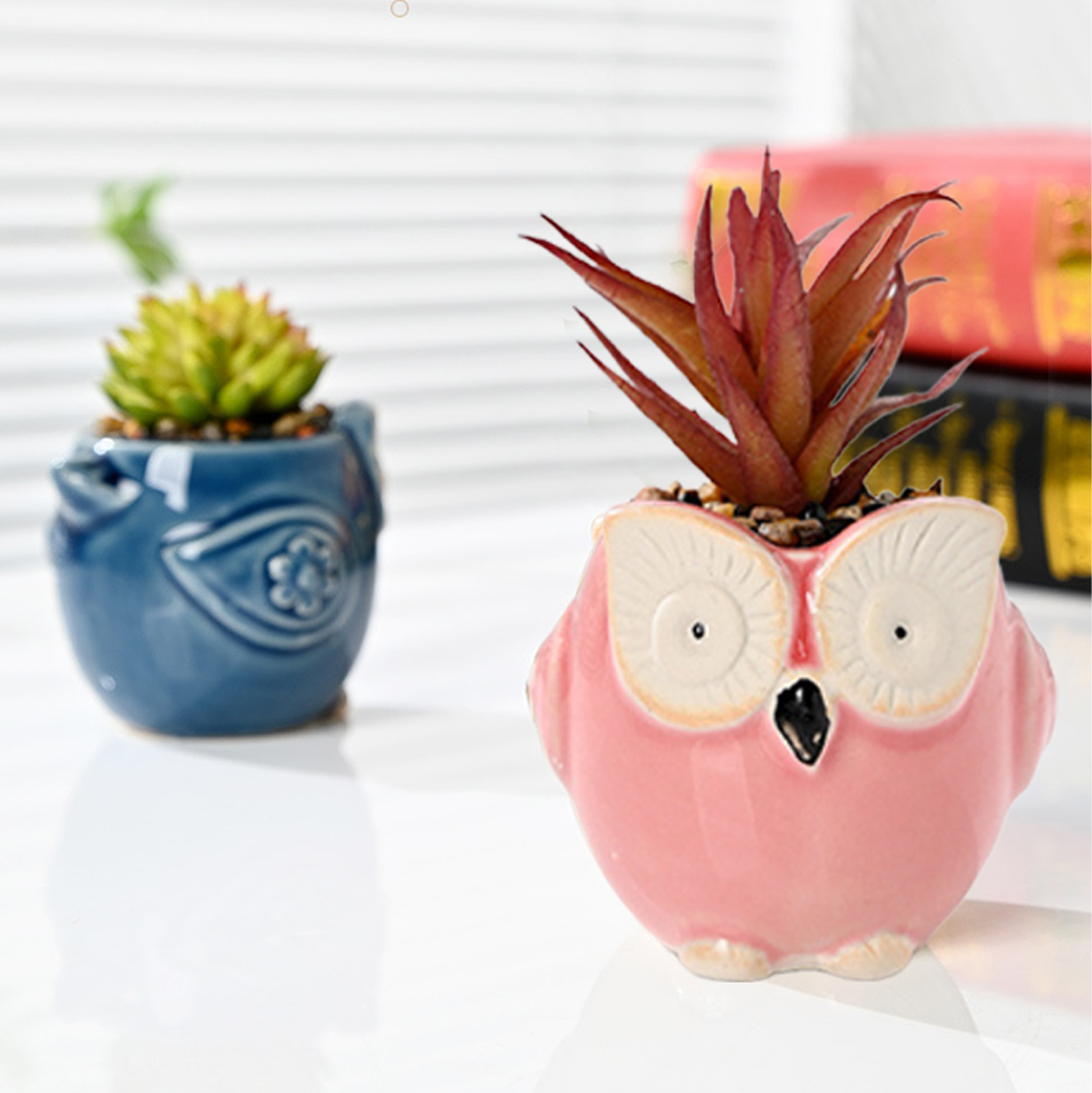 Set of 3 Owl Succulent Pot