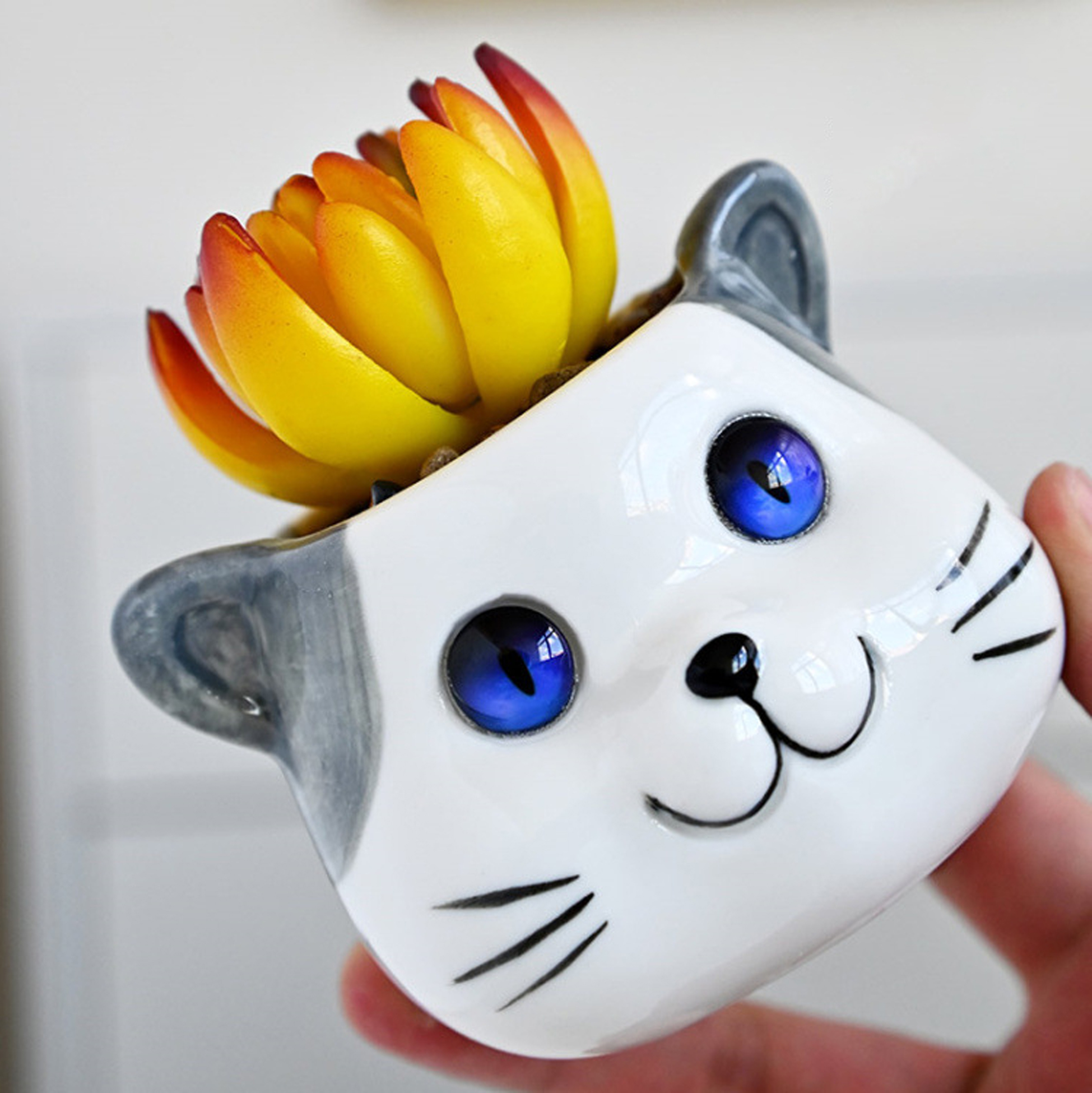 Set of 3 Cat Succulent Pot