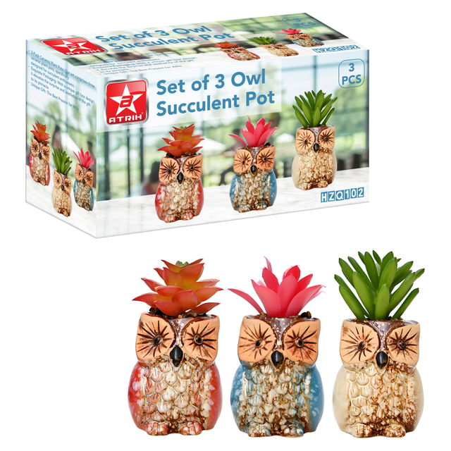 Set of 3 Owl Succulent Pot