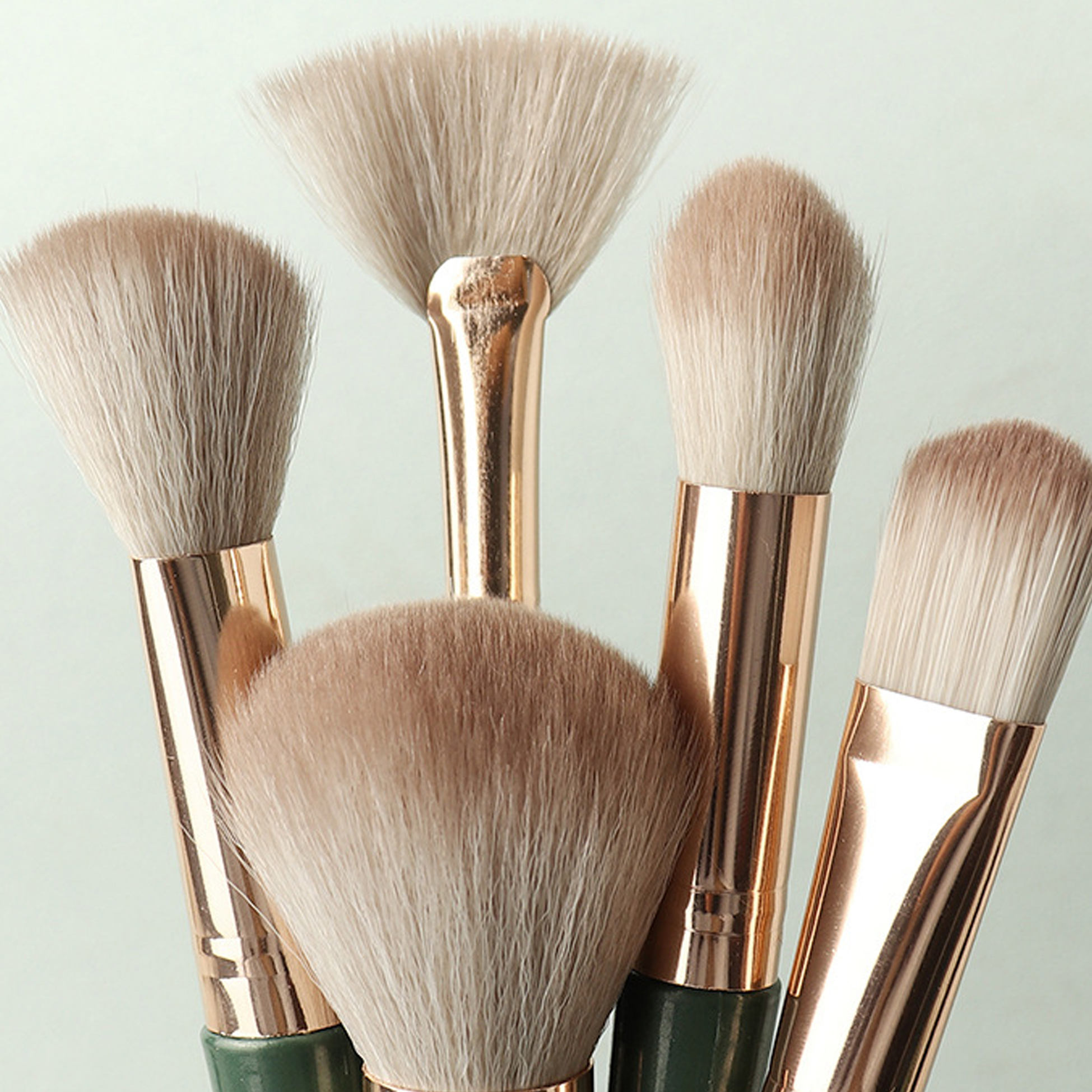 Makeup Brushes Set of 15 With Case