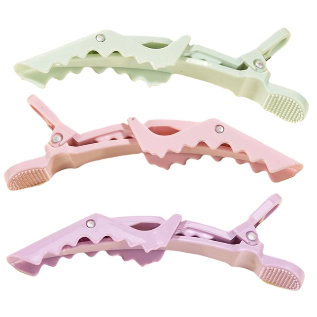 Chic Snap Hair Clip Duo Set