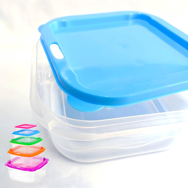 5 Piece Plastic Food Storage Bowl Set with Colorful Lids