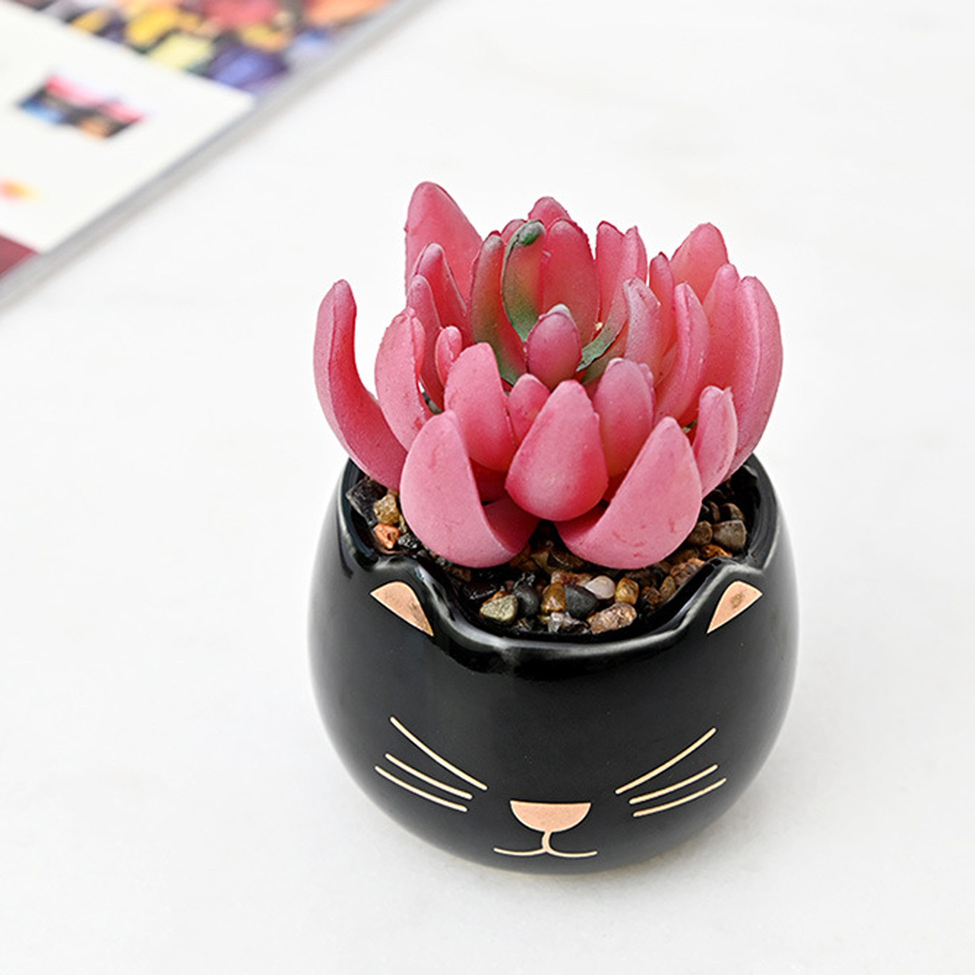 Set of 2 Cat-shaped Succulent Pot