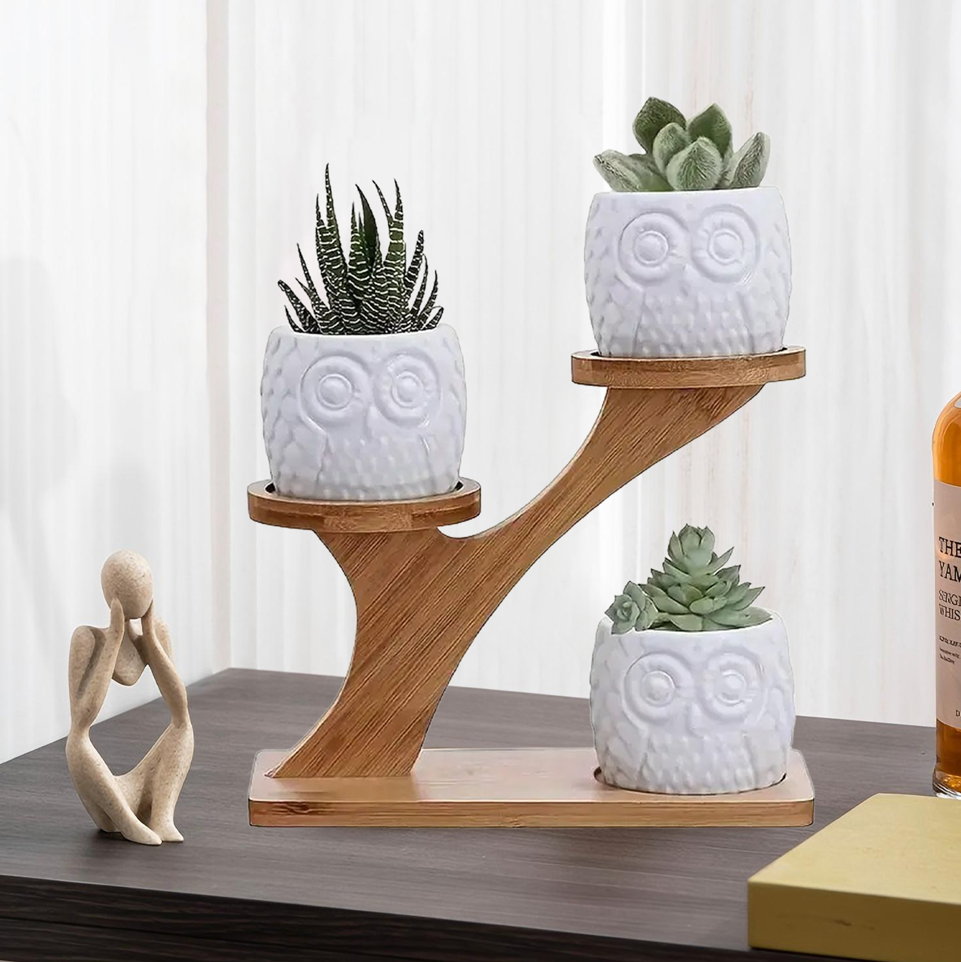 3 Owl Succulent Pots Set With Stand Holder