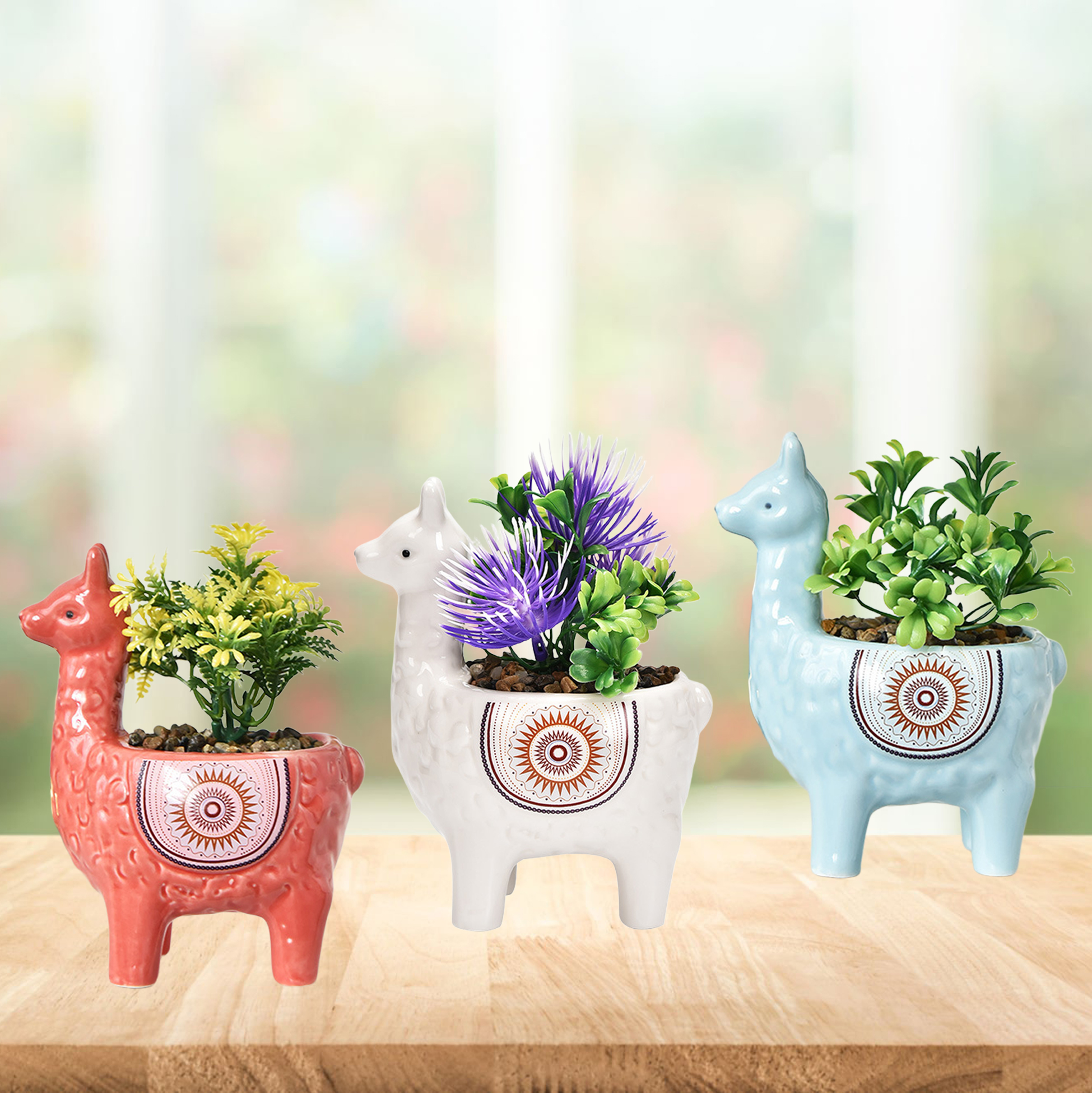 Set of 3 Alpaca Succulent Pot