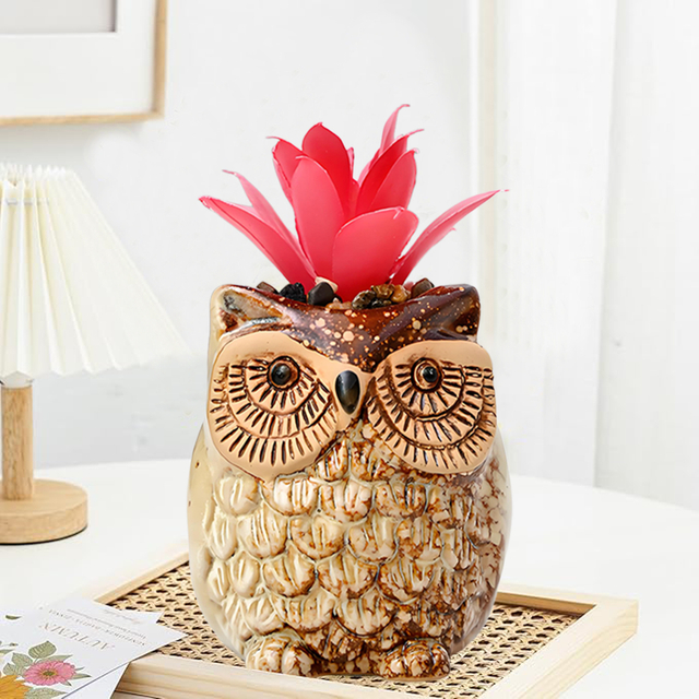 Set of 3 Owl Succulent Pot