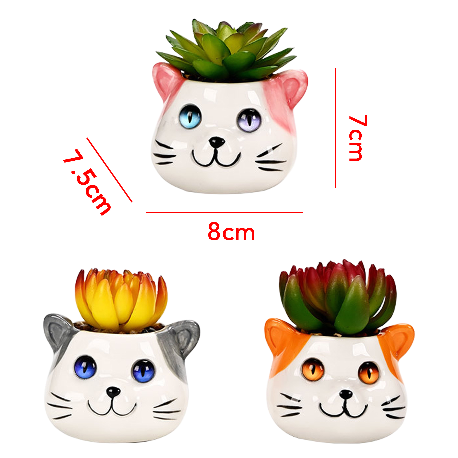 Set of 3 Cat Succulent Pot