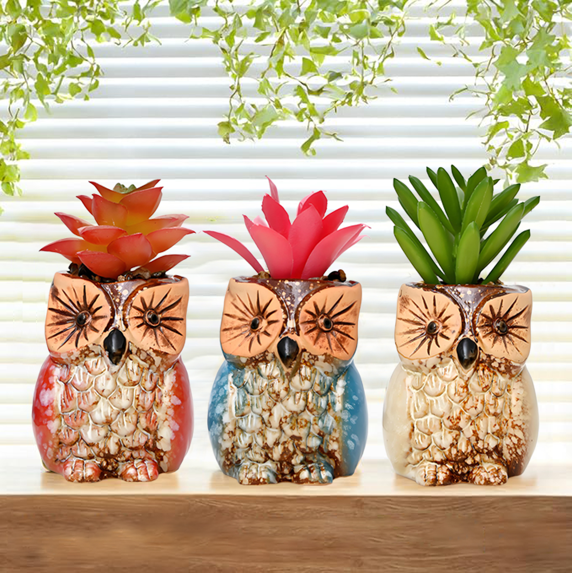 Set of 3 Owl Succulent Pot
