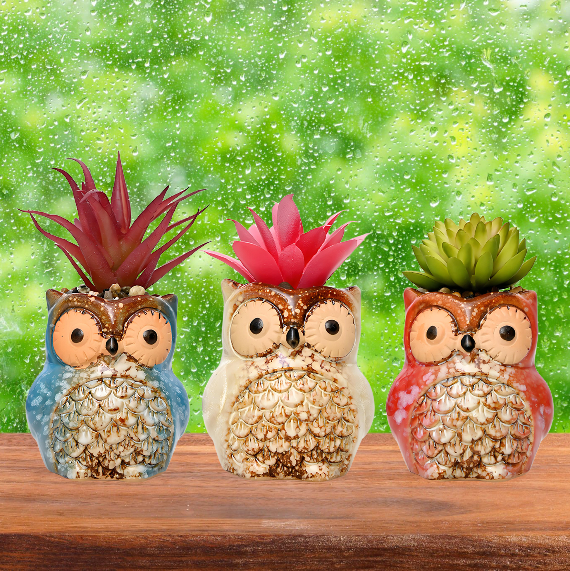 Set of 3 Owl Succulent Pot