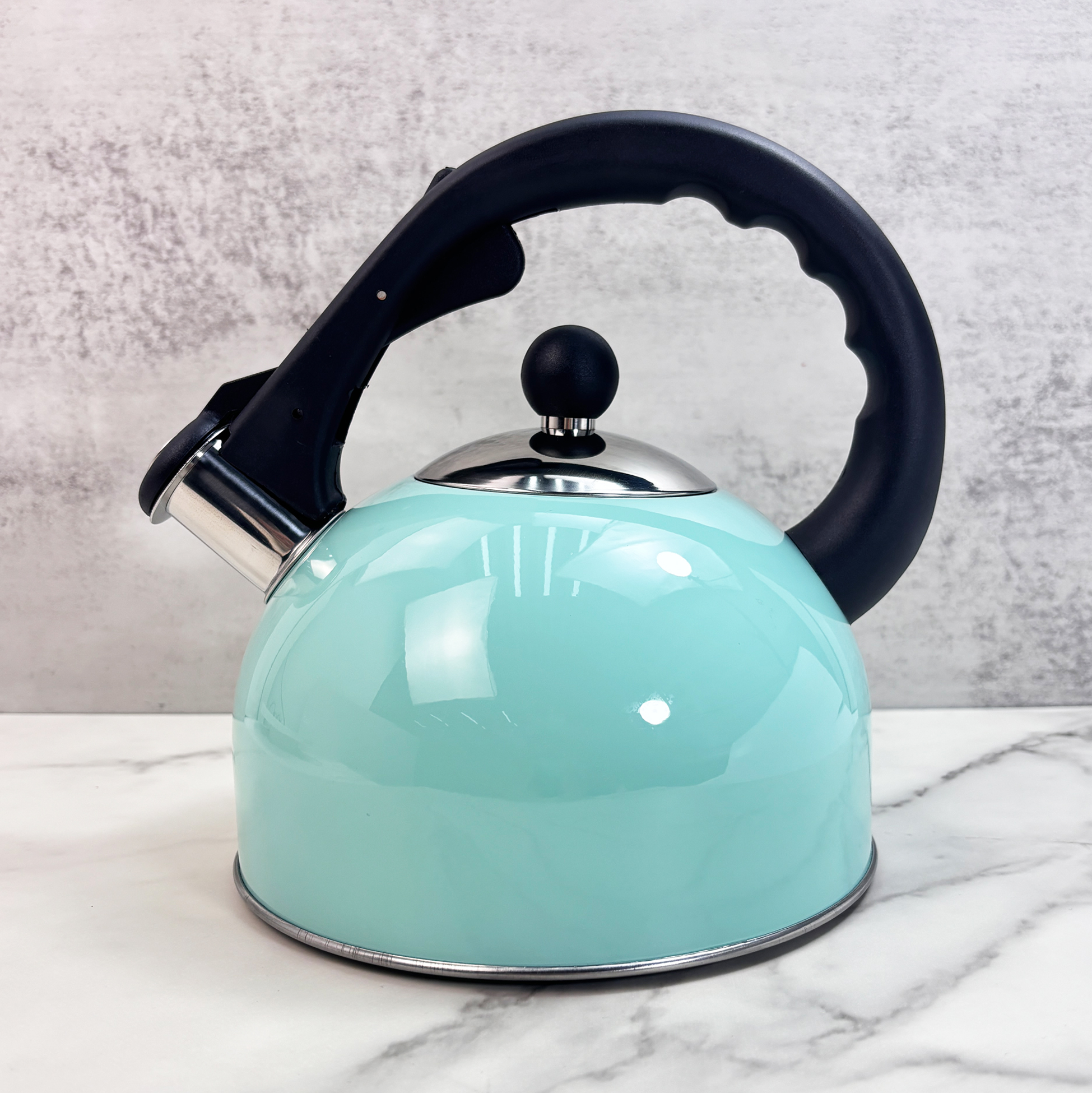 2.5L Turquoise Stainless Steel Kettle