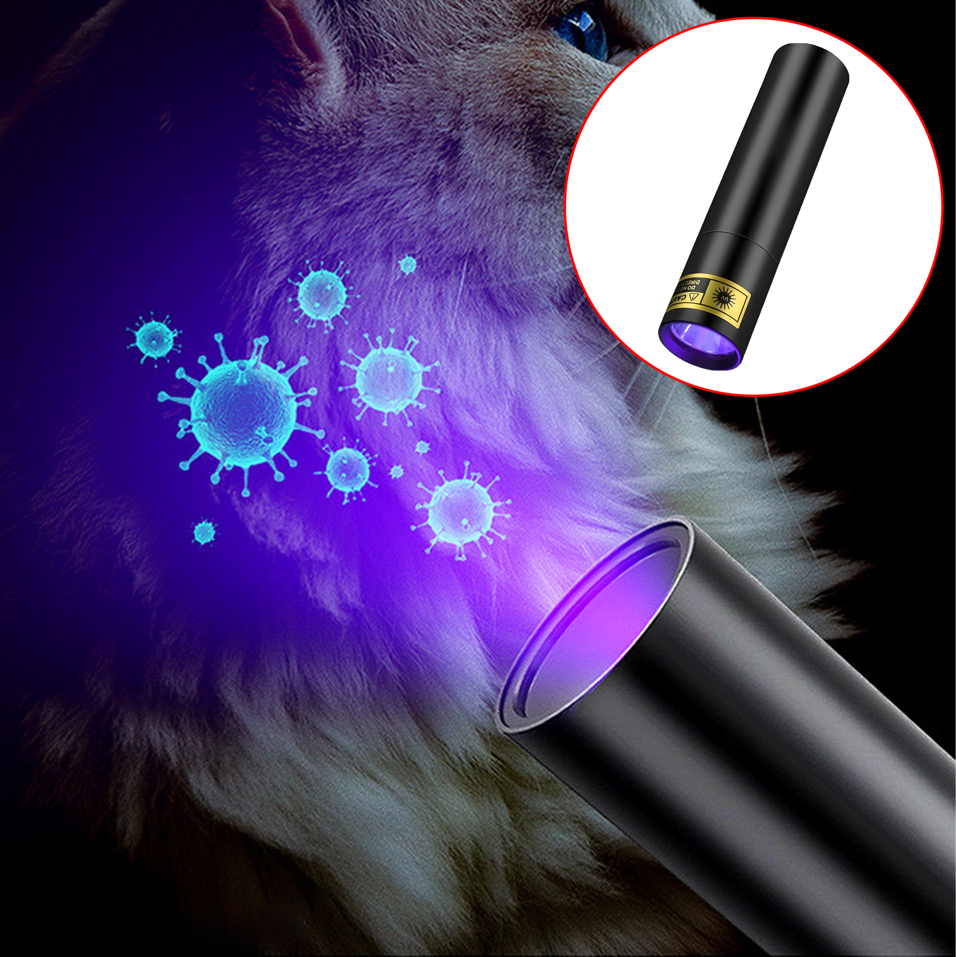 UV Light for Pet Health Check