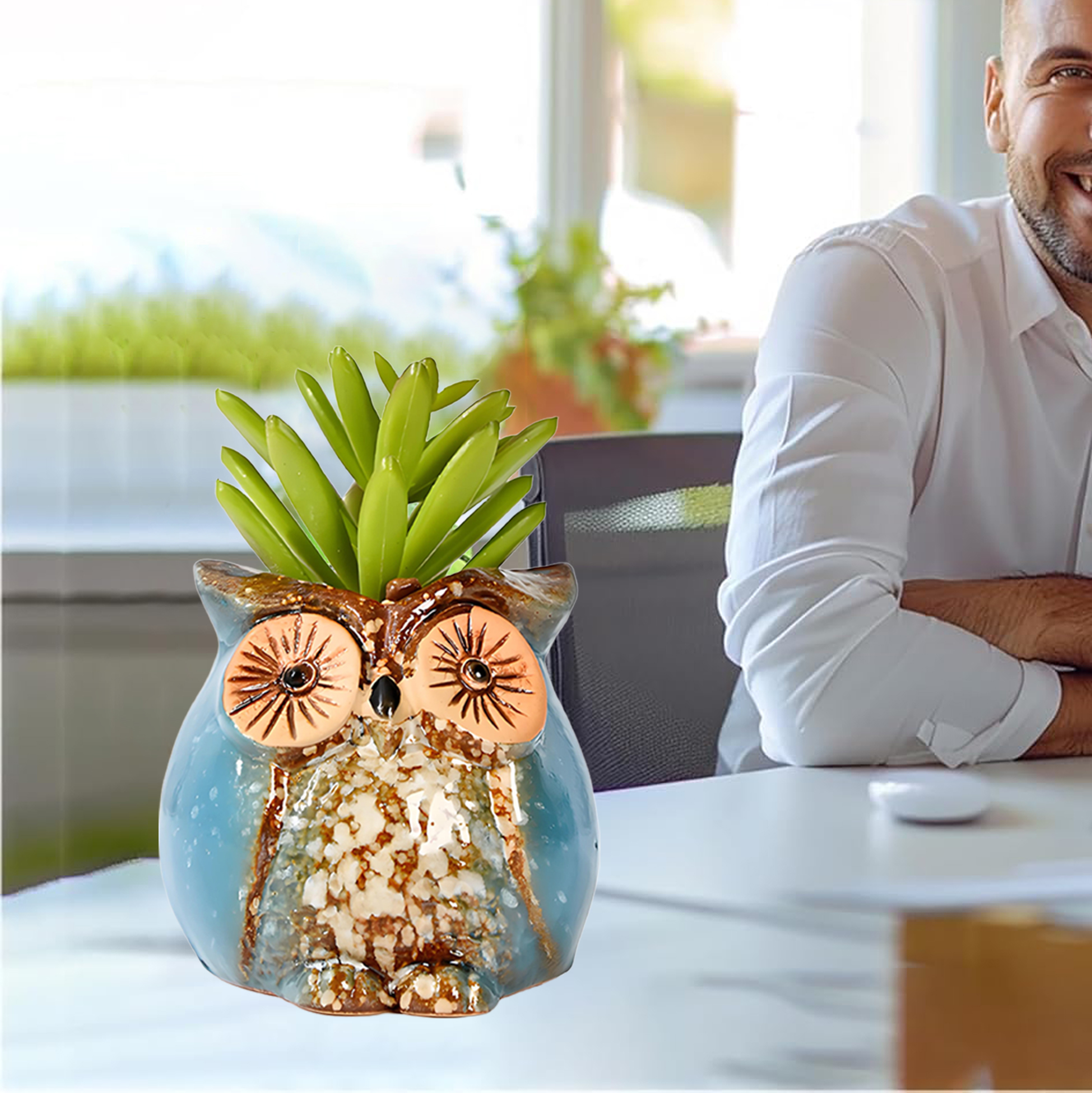 Set of 3 Owl Succulent Pot