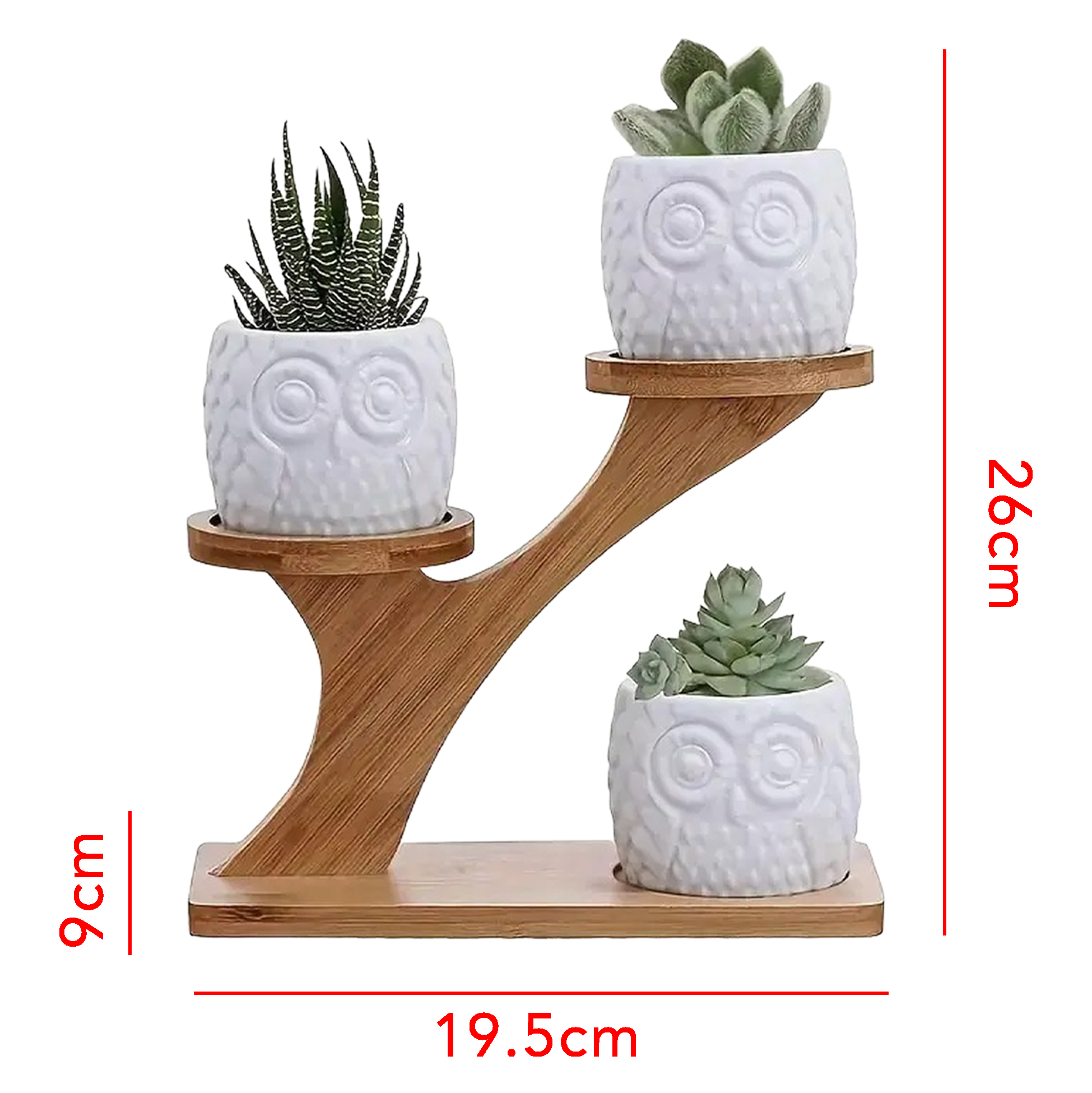 3 Owl Succulent Pots Set With Stand Holder