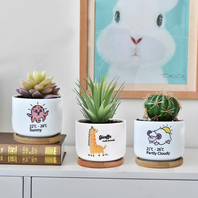 3 Succulent Pots With 3 Bamboo Tray