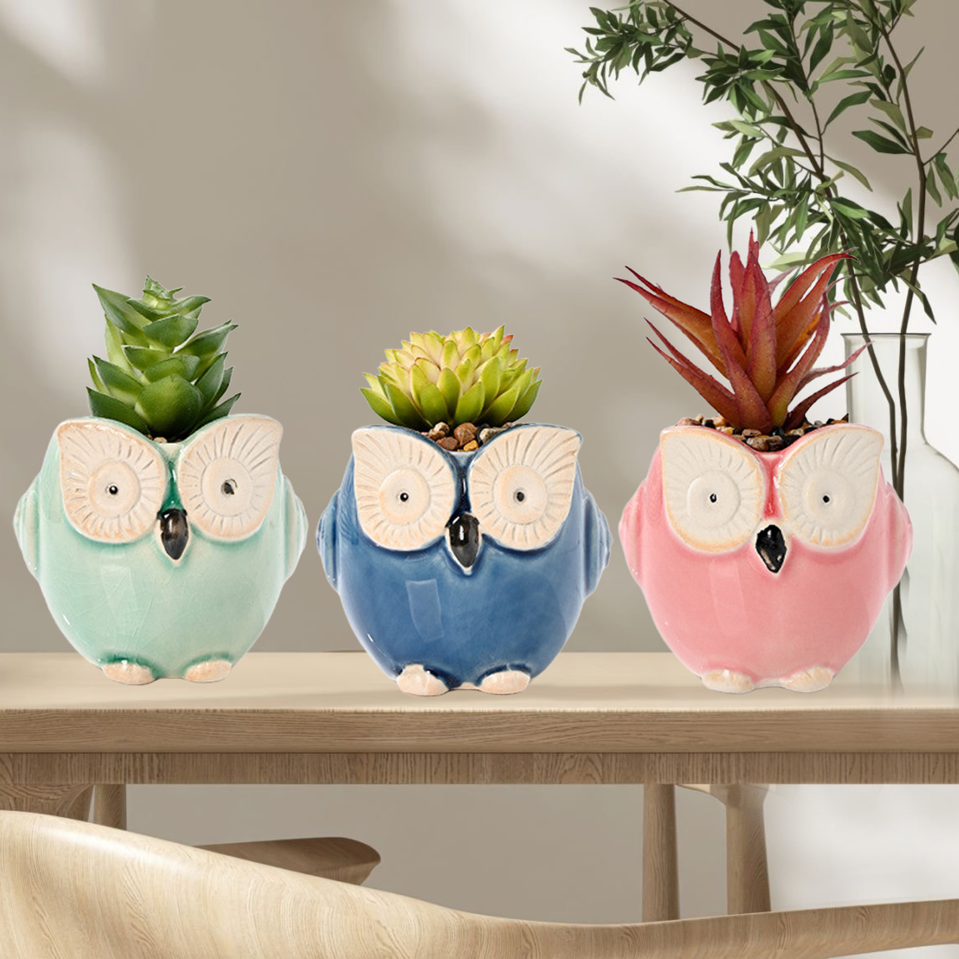 Set of 3 Owl Succulent Pot
