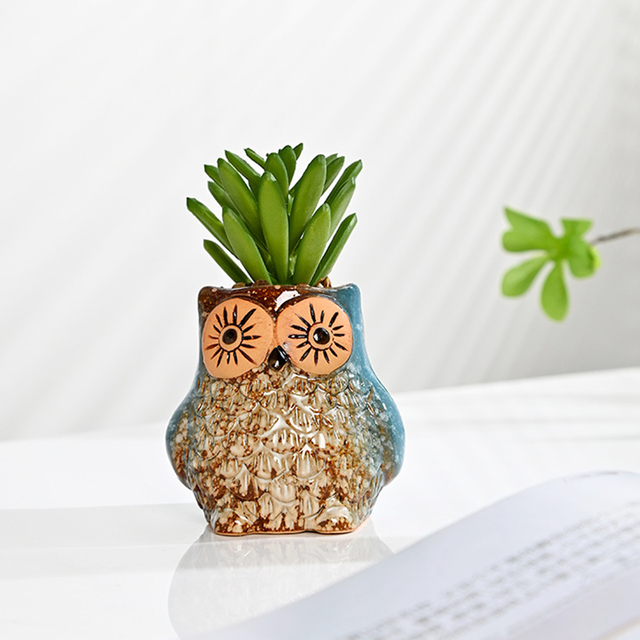 Set of 3 Owl Succulent Pot
