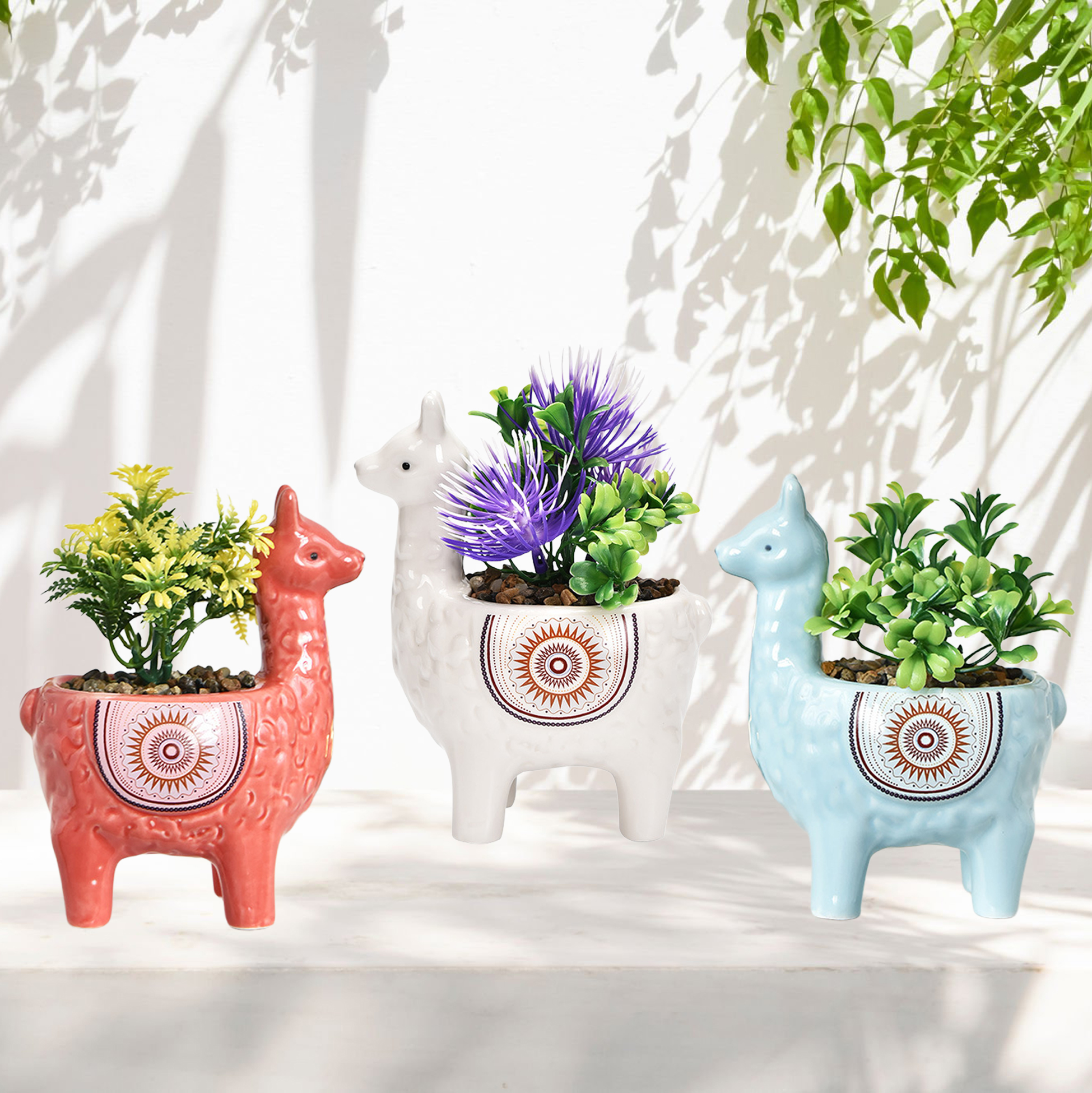 Set of 3 Alpaca Succulent Pot