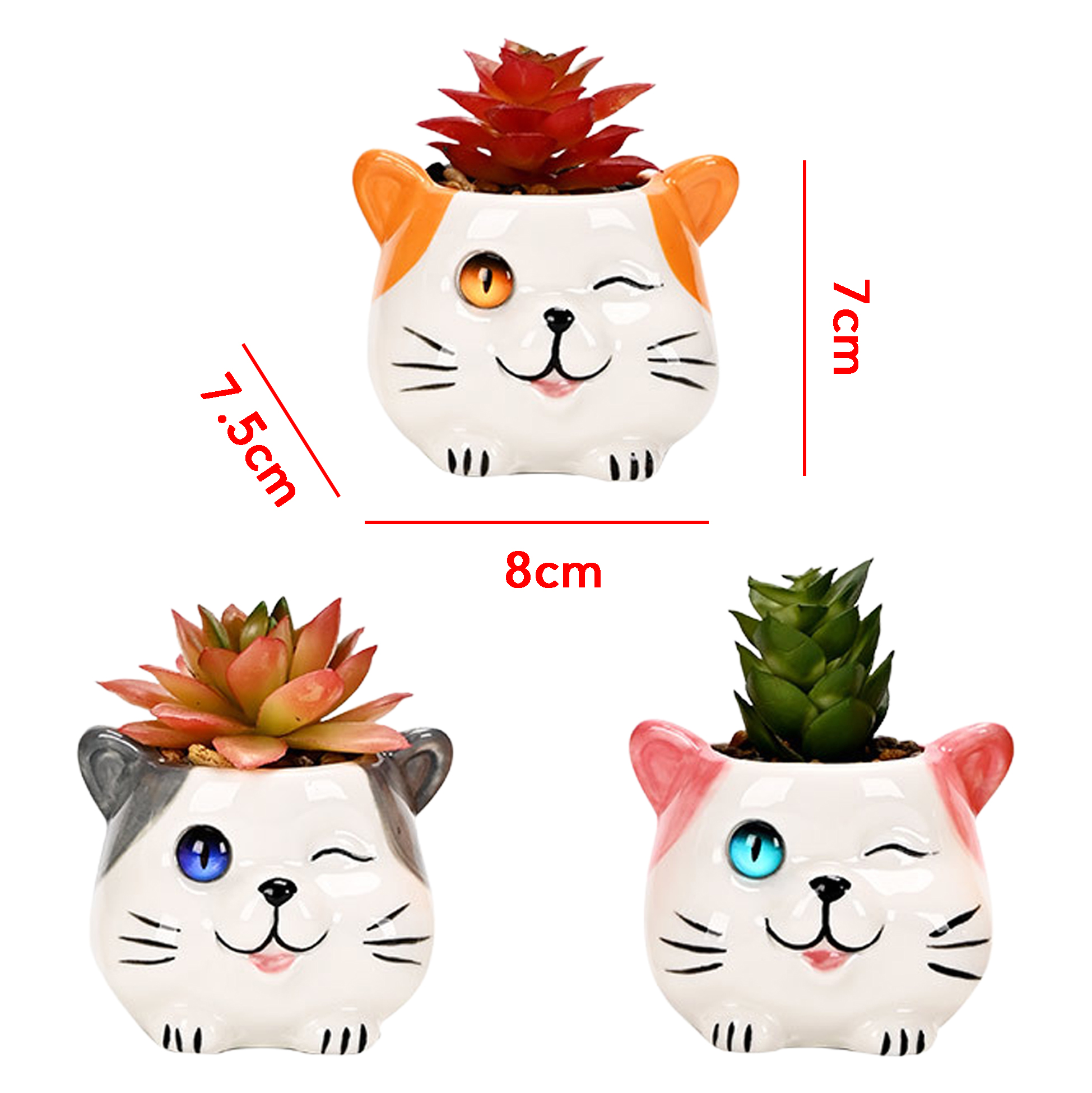 Set of 3 Cat Succulent Pot
