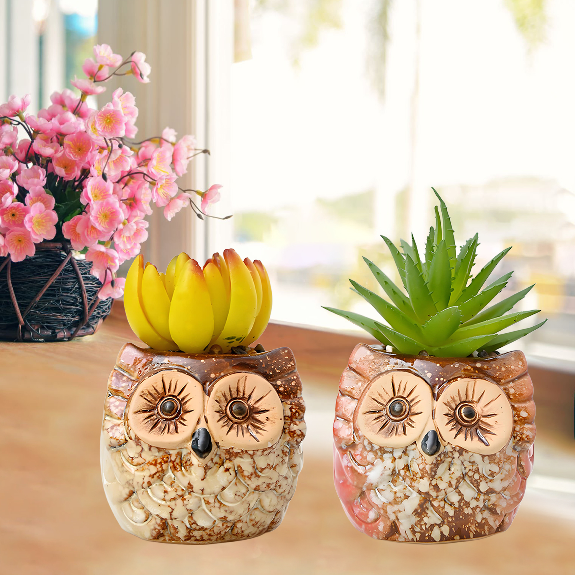 Set of 3 Owl Succulent Pot