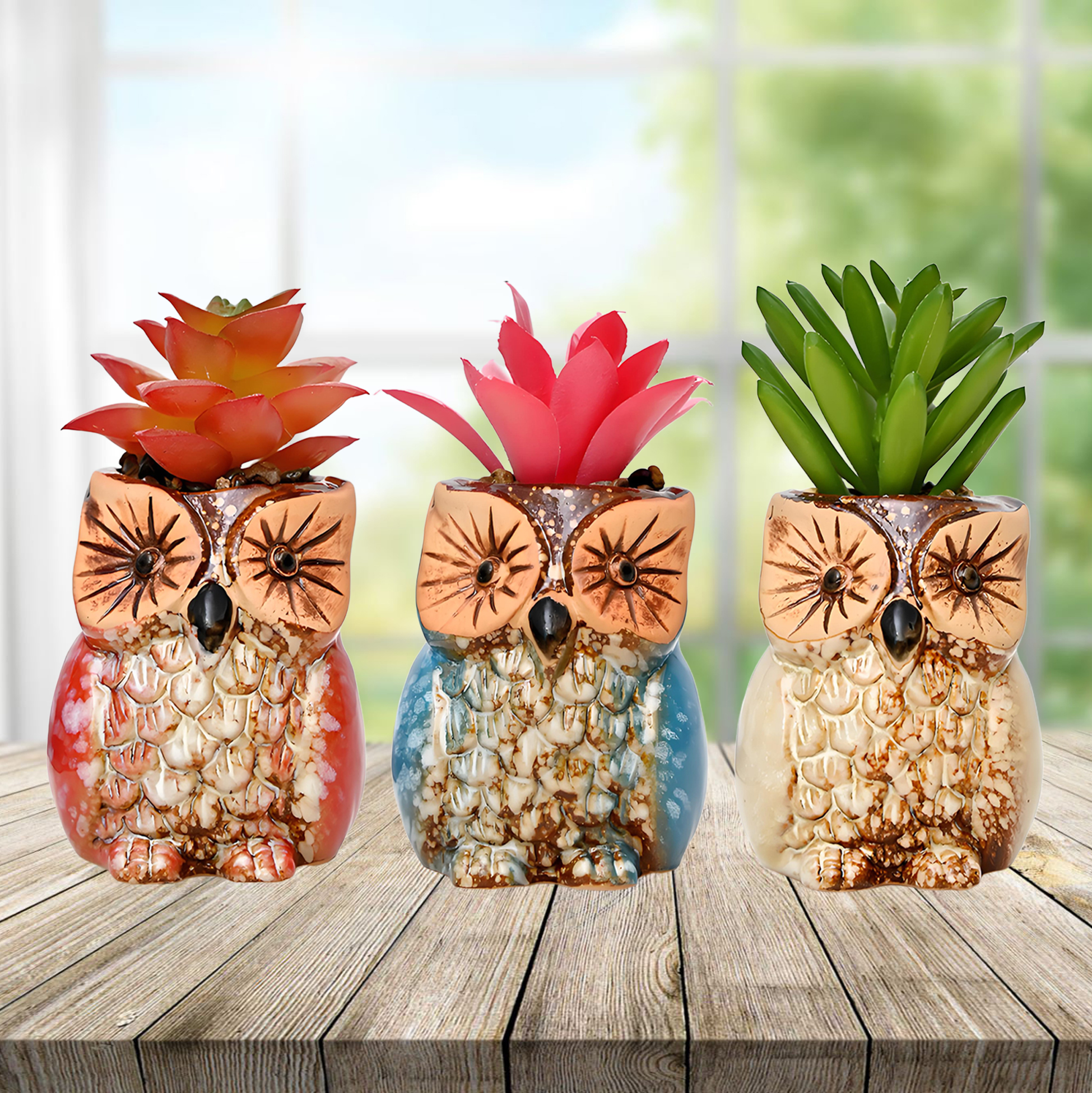 Set of 3 Owl Succulent Pot