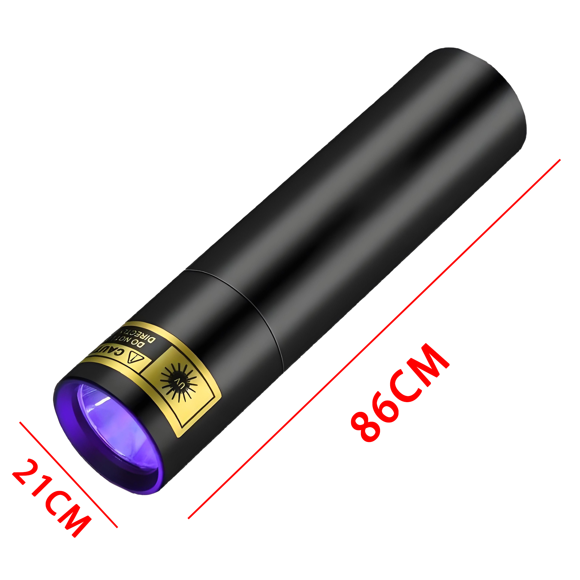 UV Light for Pet Health Check