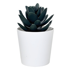 Black Succulent Fake Plant in White Pot